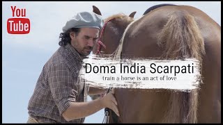 Scarpati Horsemanship - Based in love, respect and nature.