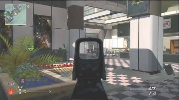 vital Gaming vs Dreamtech : Terminal Demo - MW2 Gamebattles