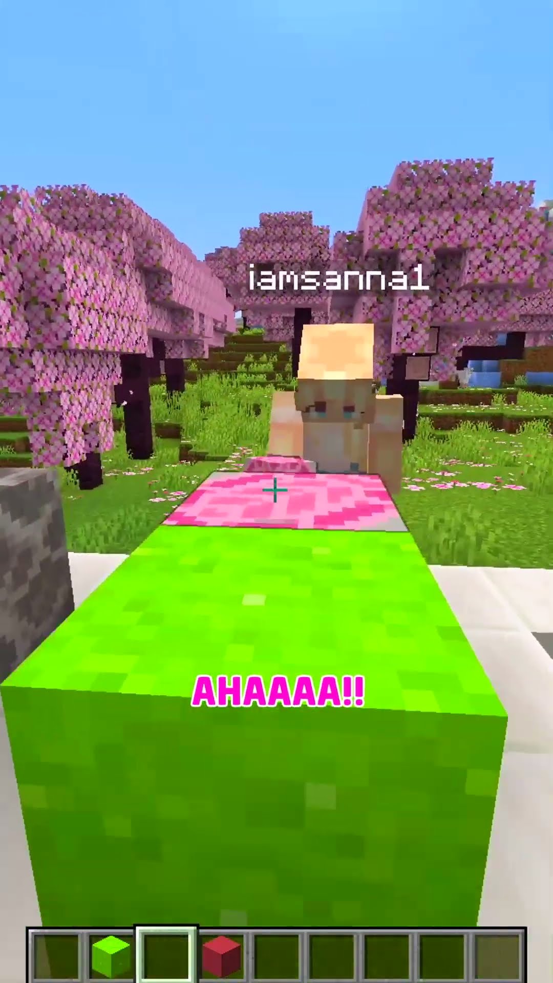 Minecraft Telepathy Challenge!