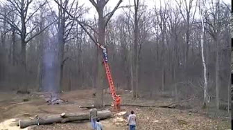 barber chair tree mistakes - YouTube