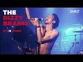 Capture de la vidéo The Dizzy Brains - Live, Québec 2018 (Finger Up, Baby Jane) - Duke Tv
