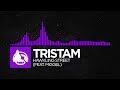 Dubstep  tristam  hawkling street feat miggel smashing newbs ep