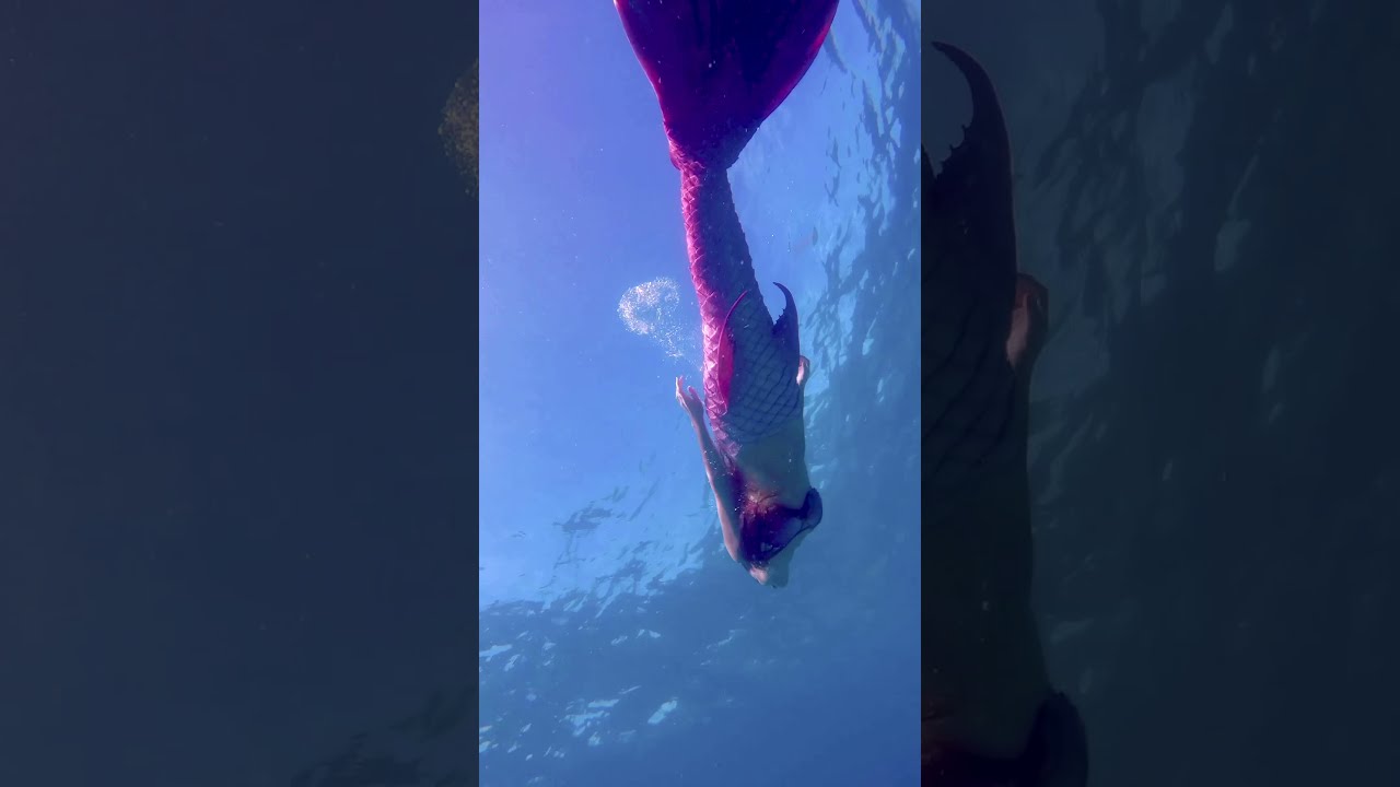 Mermaid found in the Florida Keys