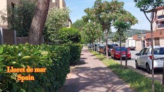 ИНОГДА ПРИРОДА УДИВЛЯЕТ / Как пройти в Сады Св.Клотильды и на  Нудистский пляж Lloret de mar