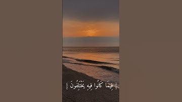 تلاوه حصريه لشيخ عبد البديع غيلان #explore #foryoupage #quran #قرآن #السعودية #الله #