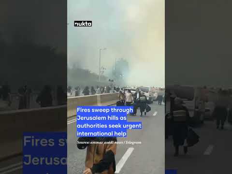 Out of Control: Israel Wildfires Spark Global Emergency Plea
