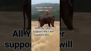 I will support just 1 million 🙏#explore #virel #biggboss #animals #funny