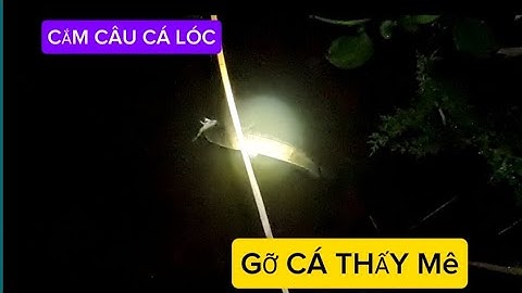 CẮM CÂU CÁ LÓC DÍNH THẤY MÊ @NinhĐầuQuắn #cắmcâucálóc  #fishing