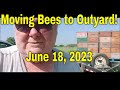 June 18 Moving in Bees-That Bee Man