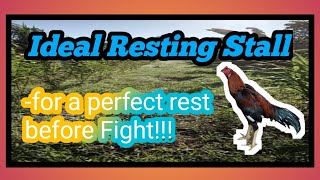 Ideal Resting Stall for Gamefowl for a Perfect Rest Before Fight!!! News