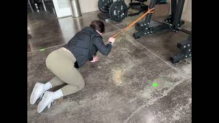 Banded Quadruped Lat Pulldown