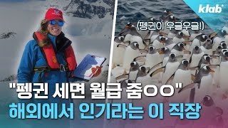 ※세계 펭귄의 날※ 남극에는 펭귄을 세는 직장이 있다고? 우리도 지원할 수 있을까?🐧｜크랩