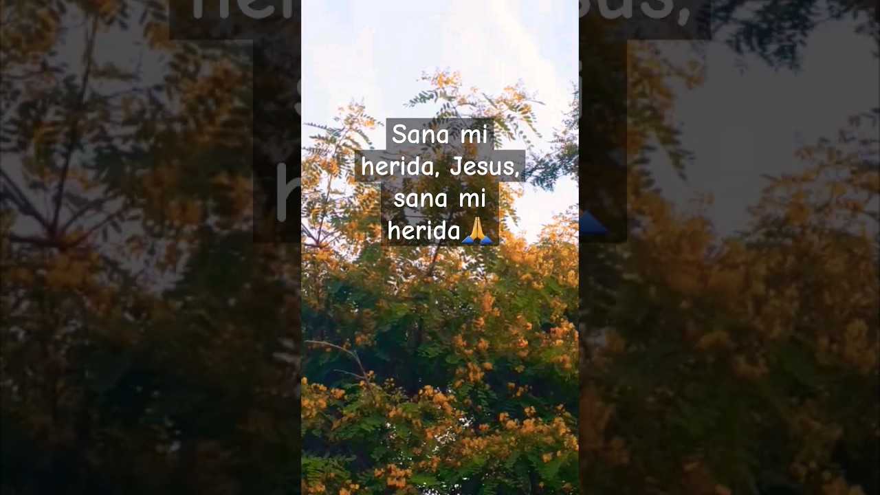 Sana mi heridas, Jesus, Sana mi heridas🙏💫 #Dios #espiritusanto