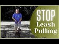 Stop leash pulling  in 5 minutes | Solid K9 Training