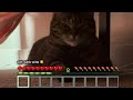Cat plays Minecraft #cat #catvideos #catlove #minecraft #minecraftshorts #goviral 