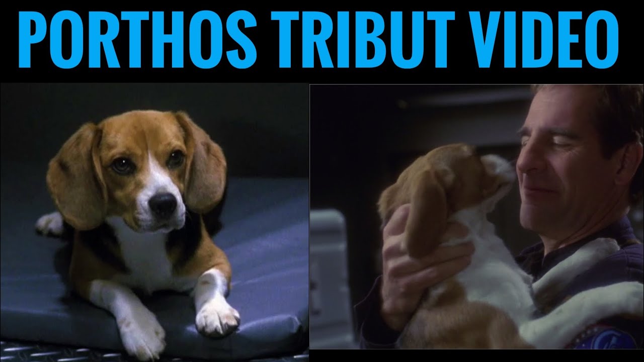 porthos dog star trek