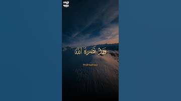 تلاوة هادئة ستريح بالك، للشيخ علي جابر رحمه الله #تلاوة_خاشعة #علي_جابر
