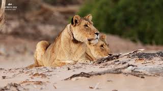 UNRAVEL THE MYSTERY | Shipwreck Lodge, Skeleton Coast | Namibia Sound Safari