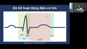 Chuẩn hóa siêu âm tim theo các khuyến cáo hiện hành: Phần lý thuyết