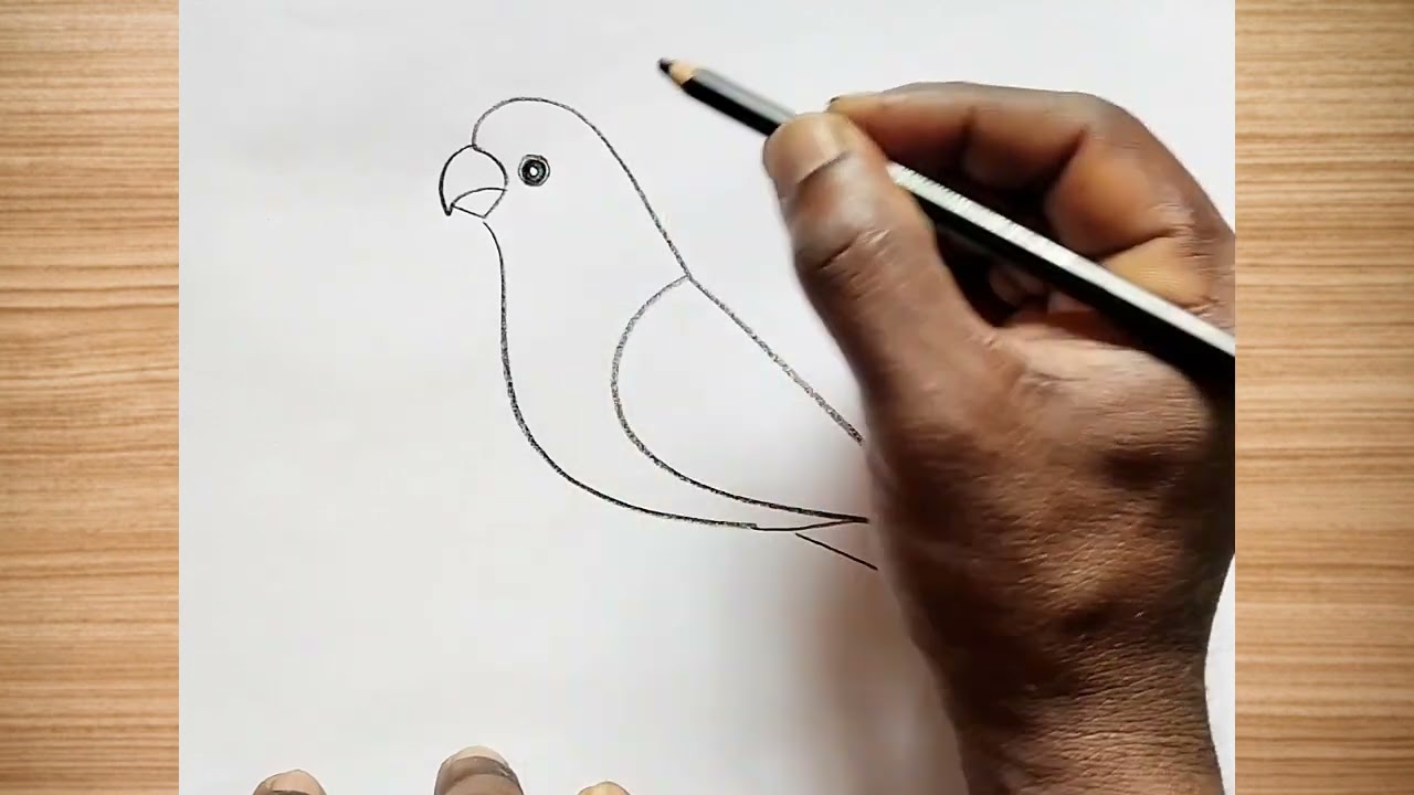 How to draw parrot drawing easy step by step || parrot drawing@aaravdrawingcreative1112 