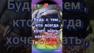 💥💥💥ТЫ ЗНАЕШЬ , ТАК  ХОЧЕТСЯ ЖИТЬ...!💥💥💥Полная версия песни на канале на видео.