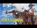 Питомец Buffalo Виды Развитие Использование