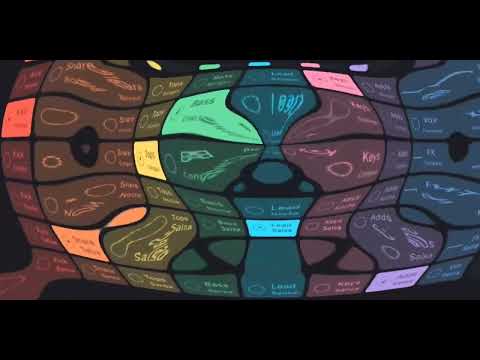 Black DzDz - Mixed Latina