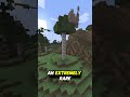 One Fun Fact About Every Item In Minecraft Birch Log