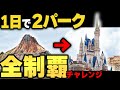 【前代未聞】1日でディズニーランドとシーのアトラクション全制覇に挑戦してみた!