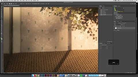 04 Using the Healing Brushes and  Clone Stamps on a Separate Layer