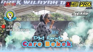 Care Bebek (Pargoy) - Dini Kurnia ft. ONE PRO live Pemuda Antar Wilayah Bersatu / Jps Audio / cover