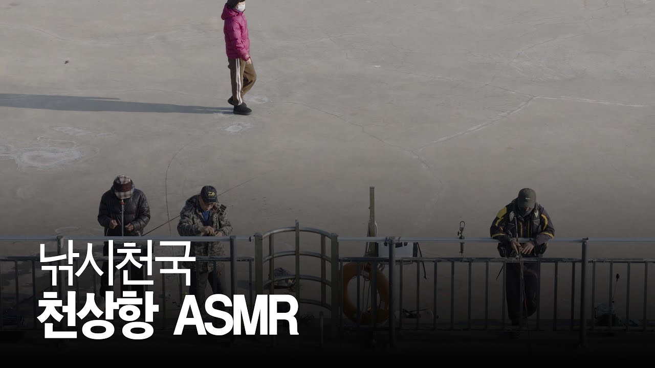 낚시천국 천성항 감성 ASMR 