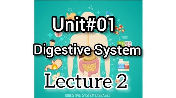 Science class 7 |Unit 1 Human Organ System |Digestive System