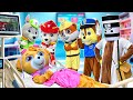 Skye Did Too Much Work And Got Sick Paw Patrol Real Life Skye Did Too Much Work And Got Sick Paw Patrol Real Life