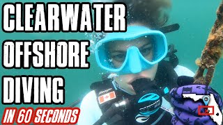 Clearwater Offshore Scuba Diving explained in 1 minute | Including St. Pete, FL | Down to 60