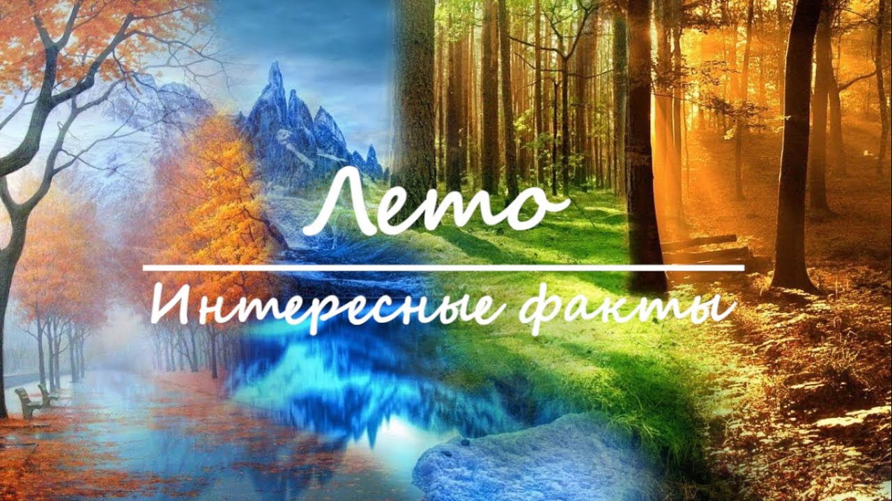 Лето - Интересные факты | Времена года