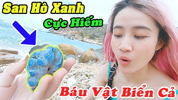 Chị Vê Nhặt Được San Hô Xanh Cực Hiếm Ngoài Đảo Hoang - Vê Vê Channel