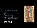 Introduction to Our Lady of Guadalupe:  Part Four