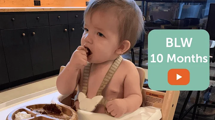 Baby Led Weaning Foods at 10 Months // 25 Foods my...