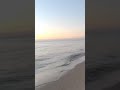 It's Always Summer on Michigan In VR