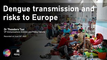 Dengue transmission and risks to Europe