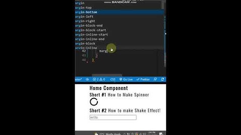 How to Make Input Effect in React in 60 Second || Invalid Input Animation || CSS Tricks