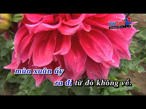 Màu Hoa Đỏ Lyrics - Màu Hoa Đỏ - Trọng Tấn [ Karaoke Lyric ]