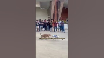 Pune based Muks Robotics at IIT Kanpur.