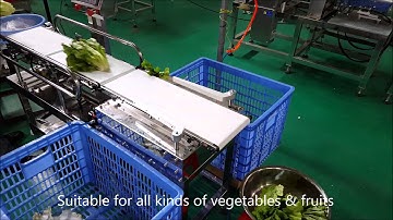VegSort Check Weigher