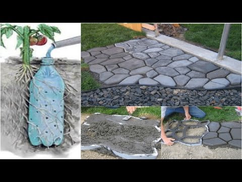 Vídeo: Secrets de jardineria: plantar remolatxa