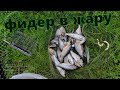 Сколько рыбы можно поймать на фидер в жару