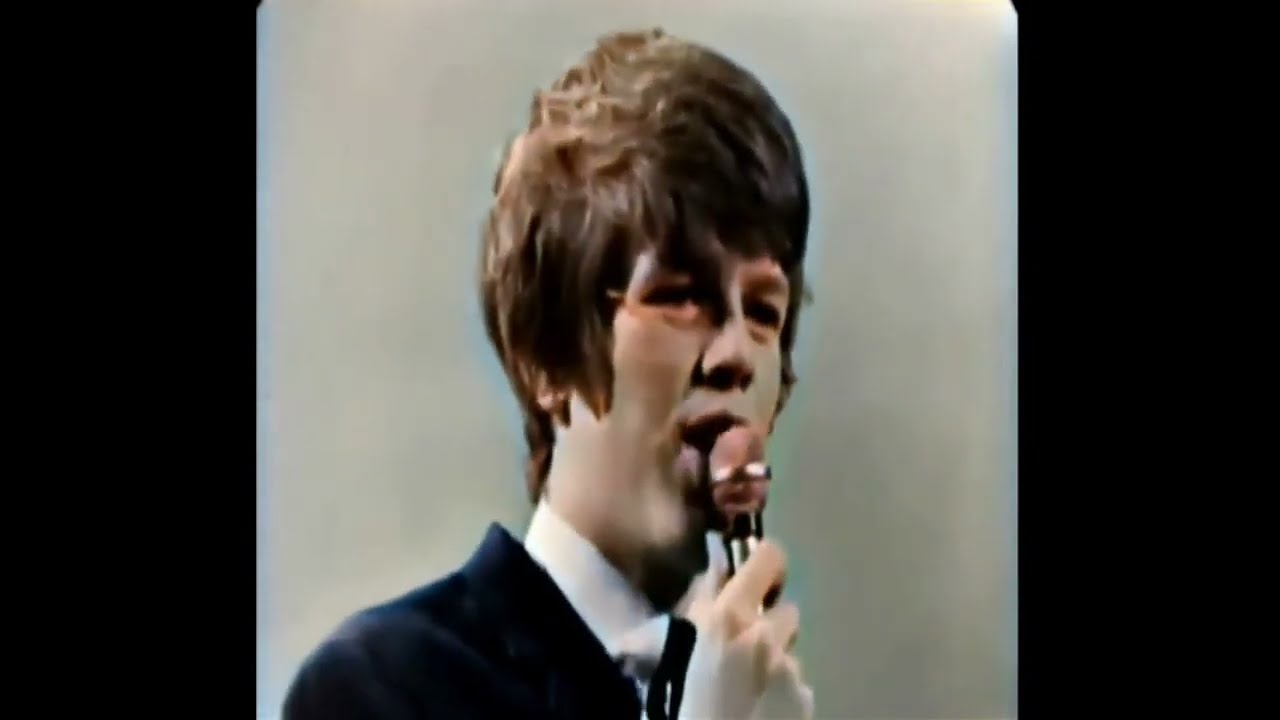 Hermans Hermits - Silhouettes  1965  Stereo  Colour