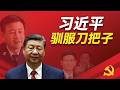 孟建柱为什么能登上新的政法王？孙力军在其中起了哪些作用？他们白手套--绿地和董卿老公？孙力军如何搞掉王小洪的嫡系林锐？两派如何争夺灰产庇护权？王小洪如何清洗孟建柱派系？｜孟建柱｜王小洪｜孙力军