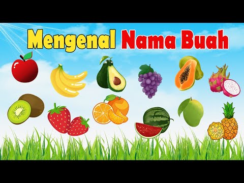 Belajar Mengenal Nama nama Buah dalam Bahasa Indonesia dan Bahasa Inggris | video edukasi